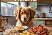 关于泰迪犬饮食禁忌之咸食探讨，泰迪犬饮食禁忌，咸食之析