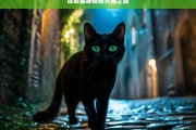 探索猫咪夜晚兴奋之谜，猫咪夜晚兴奋的原因探索