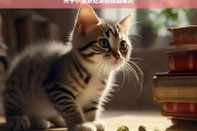 关于小猫到处尿的原因探究，小猫到处尿的原因剖析