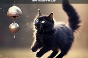 猫与铃铛的不解之缘，猫与铃铛的奇妙缘分