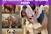 斗牛犬名称的由来，历史、用途与品种演变的全面解析