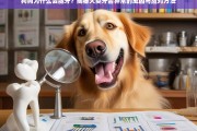 狗狗龅牙成因揭秘，犬类牙齿异常的常见原因及应对策略