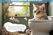 猫咪的厕所情结，为什么它们总爱往厕所跑？