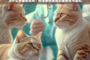 养猫绝育的科学解析，重要性及多重益处