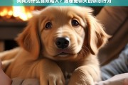 狗狗为何如此粘人？揭秘宠物犬的依恋行为