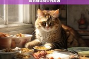 探究猫吃得少的原因，探究猫进食少的缘由