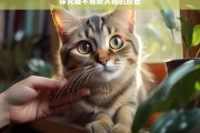 探究猫不喜欢人抱的原因，猫为何不喜欢人抱