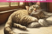 猫咪睡眠时尾巴抖动的秘密，揭示背后的原因与行为意义