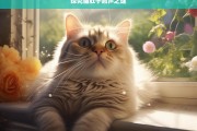 探究猫肚子响声之谜，猫肚子响声的探究