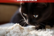 探究猫与猫砂的不解之缘，猫与猫砂的奇妙羁绊