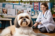 揭秘松狮犬肥胖原因及科学应对策略