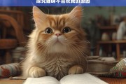 探究猫咪不喜欢我的原因，猫咪为何不喜欢我