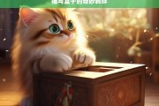 猫与盒子的奇妙羁绊，猫与盒子的奇妙缘分