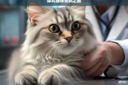 探究猫咪患病之因，探究猫咪患病原因