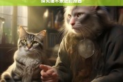 探究猫不亲近的原因，猫为何不亲近？