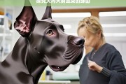 探究大丹犬剪耳朵的缘由，大丹犬剪耳缘由探究