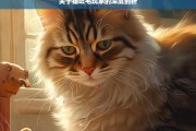 关于猫吐毛现象的深度剖析，猫吐毛现象深度剖析