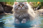 猫与水的奇妙关系