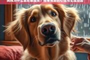 狗狗为什么喜欢被摸头？揭秘背后的心理与生理原因