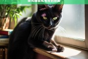 探究猫吃化毛膏的原因，猫为何吃化毛膏