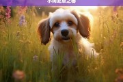 小狗吃草之秘，小狗吃草的秘密