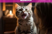 解读猫的叫声，猫叫声之解读