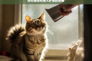 探究猫喜欢看人铲屎的奥秘，猫为何喜欢看人铲屎