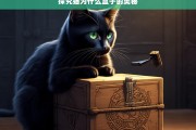 探究猫为什么盒子的奥秘，猫与盒子之谜