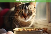 探究猫咪不吃猫粮的原因，猫咪为何不吃猫粮