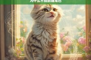 为什么不能抓猫尾巴，不可抓猫尾巴的原因