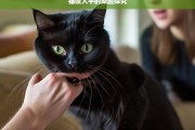 猫咬人手的原因探究，猫咬人手的原因剖析