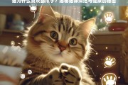 猫咪舔爪子的原因，清洁习惯与健康信号解析