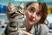 探究母猫叫声背后的原因，母猫叫声的原因探究