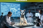 犬瘟的成因探究，犬瘟成因剖析