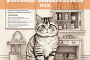 猫咪突然呕吐的原因解析及应对策略