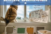 猫咪为何拒绝使用猫砂？揭秘如厕习惯与猫砂选择的奥秘