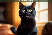 关于猫舔尾巴的探究，猫舔尾巴现象探究