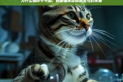 揭秘猫咪颈部灵活性，为什么猫脖子不动？