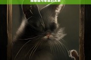 揭秘猫与老鼠的关系，猫鼠关系大揭秘