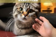 探究猫咬主人的原因，猫咬主人原因探究