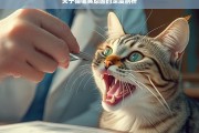 关于猫嘴臭原因的深度剖析，猫嘴臭原因剖析