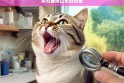 探究猫得口炎的原因，猫口炎原因探究