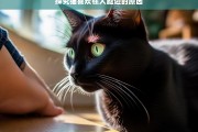 探究猫喜欢在人腿边的原因，猫为何喜欢在人腿边