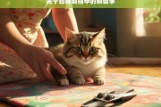 关于给猫剪指甲的那些事，给猫剪指甲的相关事宜