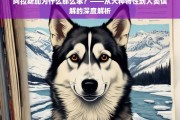 阿拉斯加犬的笨是误解还是特性？——深入解析犬种行为与人类认知