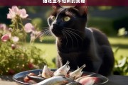 猫吃鱼不怕刺的奥秘，猫吃鱼为何不怕刺