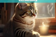 探究小猫老叫的原因，小猫为何老叫