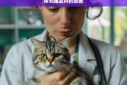 探究猫发抖的原因，猫发抖原因探究