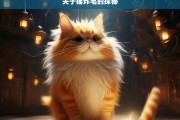 关于猫炸毛的探秘，猫炸毛现象探秘