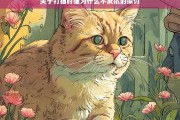 关于打猫时猫为什么不反抗的探讨，打猫时猫不反抗的原因探讨